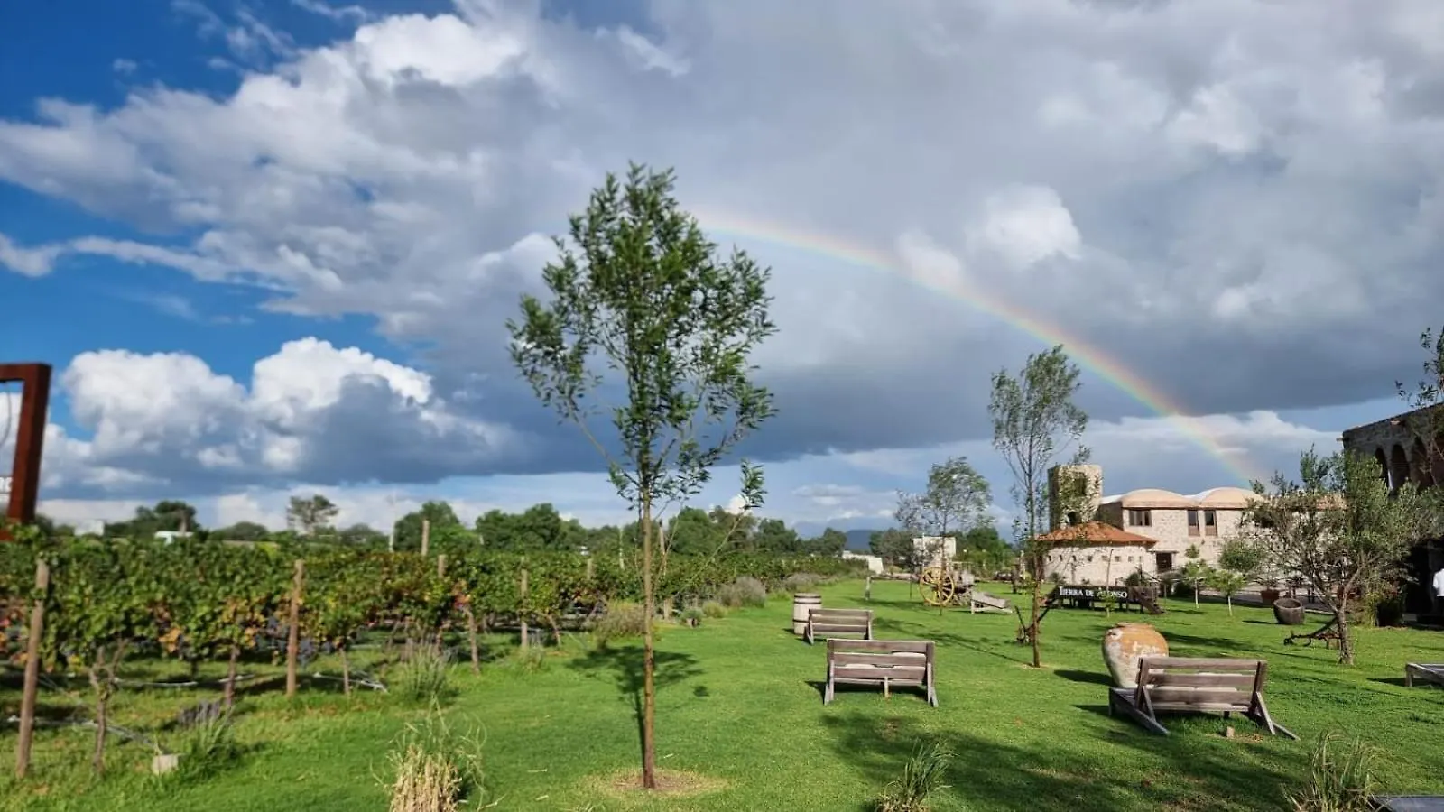 Lodge Hotel De Tierra Vinedo Y Spa - Aeropuerto Queretaro Purisima de Cubos
